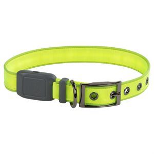 Nite Ize NiteDog Rechargeable LED Collar - Large - Lime Green
