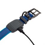 Nite Ize collier à DEL rechargeable NiteDog - moyenne - bleu
